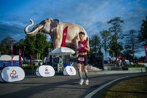 BIB: 
                            <button type="button" onclick="openModal(26541550)" class="btn btn-primary btn-sm float-right btn-popup" data-toggle="modal" data-target=".modal-high-quality">
                        <i class="fas fa-shopping-cart"></i> Add to Cart
                    </button>
                                            <button type="button" onclick="isThisMe(26541550, true)" class="btn btn-success btn-sm float-right btn-popup btn-isme hidden" data-toggle="tooltip" data-placement="bottom" title="นี่คือรูปของคุณใช่ไหม คลิกที่นี่เพื่อเอาเข้าอัลบั้ม">
                        <i class="fas fa-plus"></i> Add to album
                    </button>
                    <button type="button" onclick="isThisMe(26541550, false)" class="btn btn-warning btn-sm float-right btn-popup btn-isnotme hidden">
                        <i class="fas fa-ban"></i> Remove from album
                    </button>